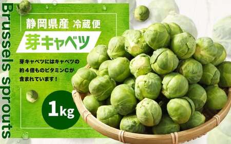 芽キャベツ 1kg【2026年1月上旬-2月下旬まで順次発送予定】｜ 芽キャベツ メキャベツ キャベツ きゃべつ  野菜