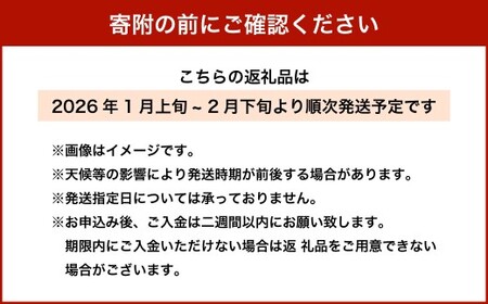 芽キャベツ 1kg【2026年1月上旬-2月下旬まで順次発送予定】｜ 芽キャベツ メキャベツ キャベツ きゃべつ  野菜
