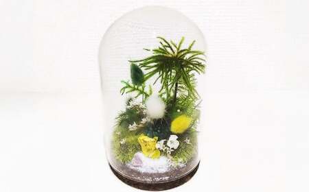 【さとリウムR】プリザーブド加工のテラリウム 春 1セット｜ テラリウム ガラスドーム 苔 こけ コケ 植物 鑑賞用 インテリア 水やり不要