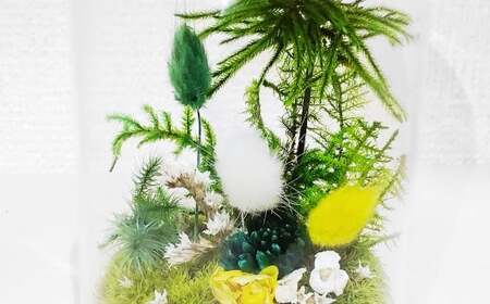 【さとリウムR】プリザーブド加工のテラリウム 春 1セット｜ テラリウム ガラスドーム 苔 こけ コケ 植物 鑑賞用 インテリア 水やり不要