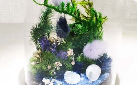 【さとリウムR】プリザーブド加工のテラリウム 夏 1セット｜ テラリウム ガラスドーム 苔 こけ コケ 植物 鑑賞用 インテリア 水やり不要