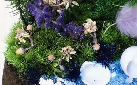 【さとリウムR】プリザーブド加工のテラリウム 夏 1セット｜ テラリウム ガラスドーム 苔 こけ コケ 植物 鑑賞用 インテリア 水やり不要