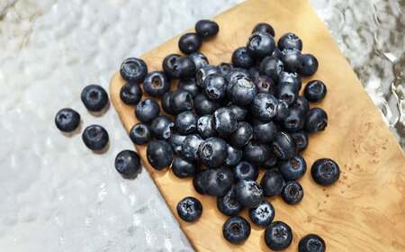 生ブルーベリー 計約900g（約100g×9パック）【2026年4月下旬-6月上旬発送予定】 ｜ブルーベリー 果物 フルーツ 静岡県 菊川市