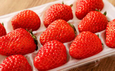 寒蜜いちご 紅ほっぺ 大粒 4パック（約300g×4パック）【2026年2月上旬-4月上旬発送予定】【配送不可：北海道・沖縄・離島】 ｜ いちご 苺 紅ほっぺ 果物 くだもの フルーツ 菊川市