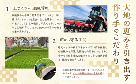 【10営業日発送】【令和7年産】静岡県産コシヒカリ 精米 10kg （5kg×2袋） 【2026年8月下旬迄順次発送予定】 コシヒカリ こしひかり 白米 米 コメ こめ ご飯 ごはん 菊川市 静岡県