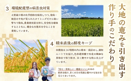 【10営業日発送】【令和7年産】静岡県産コシヒカリ 精米 10kg （5kg×2袋） 【2026年8月下旬迄順次発送予定】 コシヒカリ こしひかり 白米 米 コメ こめ ご飯 ごはん 菊川市 静岡県