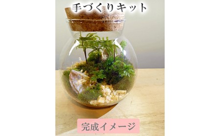 手づくりキット 丸型グラス苔テラリウム インテリア 静岡県菊川市 ふるさと納税サイト ふるなび 手づくりキット 丸型グラス苔テラリウム インテリア 静岡県菊川市 ふるさと納税サイト ふるなび