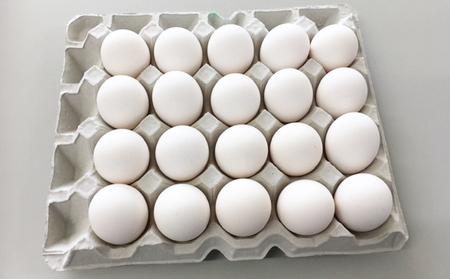 「ホソヤさんちのいきいき卵」菊川の耀（40個セット）【配送不可：北海道・沖縄・離島】