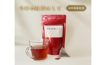 静岡茶 おすすめ深蒸し茶 バラエティセット（お茶：10種・茶筒1本）【煎茶 くき茶 焙茶 玄米茶 和紅茶 水出し ティーバッグ  粉末】