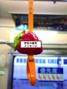 伊豆箱根鉄道駿豆線 共通返礼品 オリジナルデザインつり革掲出プラン(14日間)