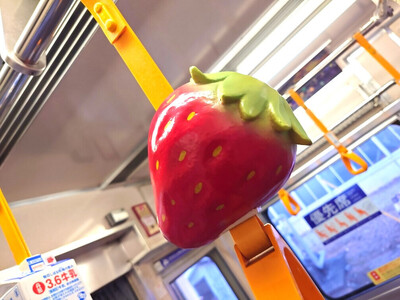 伊豆箱根鉄道駿豆線 共通返礼品 オリジナルデザインつり革掲出プラン(14日間)