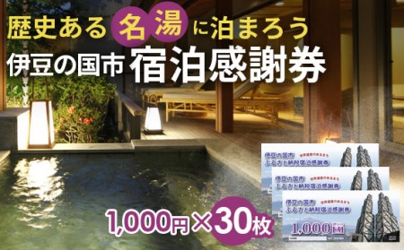 100-001 伊豆の国市宿泊感謝券（1,000円×30枚）