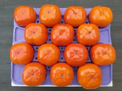厳選品 菊地元治農園の天野柿 Lサイズ 14個