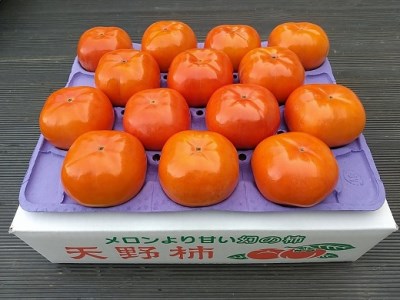厳選品 菊地元治農園の天野柿 Lサイズ 14個