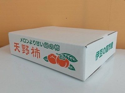 厳選品 菊地元治農園の天野柿 Lサイズ 14個