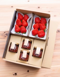 【いちご定期便】ふるさと納税お礼品 限定！ ジュンサンベリー 最高の4回
