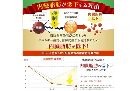 048-36　お茶の荒畑園　たっぷりカテキン緑茶ティーパック（2ｇ×30包）×3袋セット　〈機能性表示食品〉 【 茶 】