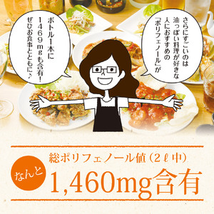  黒ウーロン茶  静岡県産 黒烏龍茶 2L × 9本 黒烏龍茶 いなば園 