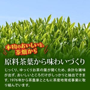 伊藤園 おーいお茶緑茶PET600ml×24本　2ケース 伊藤園