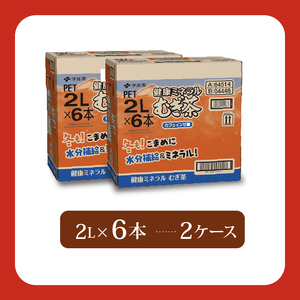 麦茶 2L×6本 2ケース 健康ミネラル麦茶