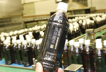 015-13 静岡県牧之原産　国産黒烏龍茶ペットボトル500ml×24本　1ケース