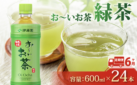 伊藤園 【定期便6か月】お～いお茶緑茶PET600ml×24本  伊藤園