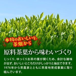 緑茶　【定期便6か月】おーいお茶緑茶PET2L×6本 伊藤園 緑茶