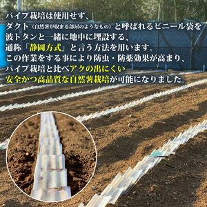 074-6 【R7年12月上旬からの発送】 丁子屋が選んだ 自然薯 台地のご馳走 500g~550g