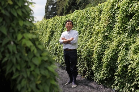 【期間限定発送】自然薯 牧之原 特産 個性あり自然薯 1㎏ とろろ 