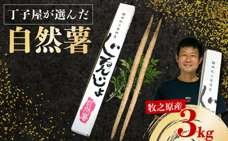 【R7年12月上旬からの発送】自然薯 3kg丁子屋が選んだ 自然薯