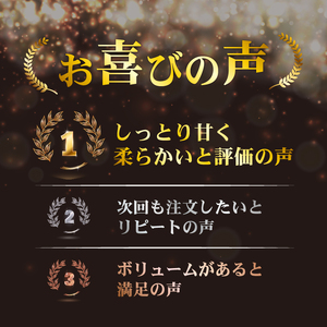 干し芋 総 600g 300g × 2袋  紅はるか 干し芋