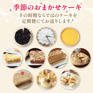 おまかせ 季節の ケーキ  サンフランシスコパイハウス【ケーキ】