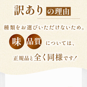 おまかせ 季節の ケーキ  サンフランシスコパイハウス【ケーキ】