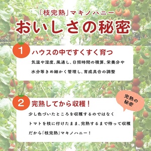 トマト 中玉 2kg 以上 マキノハニー 枝完熟 トマト トマトップ 高 リコピン うまみ 甘い 新鮮 野菜 産地直送 やさい ビタミン 静岡県 牧之原市
