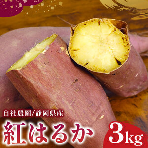 さつまいも 3kg 紅はるか さつまいも
