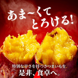 さつまいも 3kg 紅はるか さつまいも