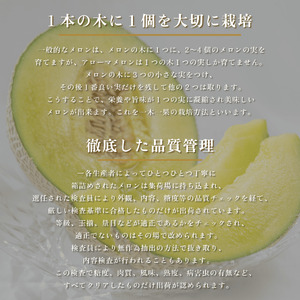 【通年出荷】 アローマ メロン 1玉 1.3kg以上 静岡メロン 