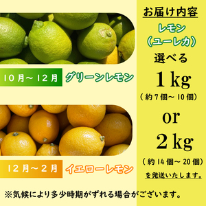 【レモン】檸檬 れもん ユーレカ 2kg 国産 檸檬