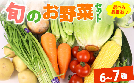 野菜セット 6~7品目 以上 野菜セット