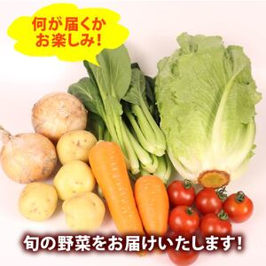 野菜セット 6~7品目 以上 野菜セット