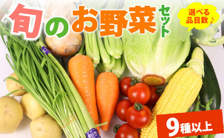 野菜セット 9品目 以上 野菜セット