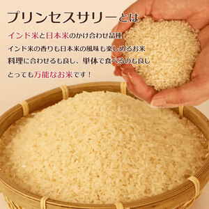 ブレンド米 プリンセスサリー 3kg ブレンド米 米 新米