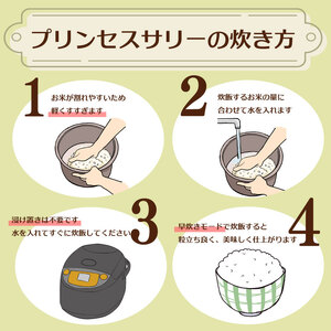 ブレンド米 プリンセスサリー 3kg ブレンド米 米 新米