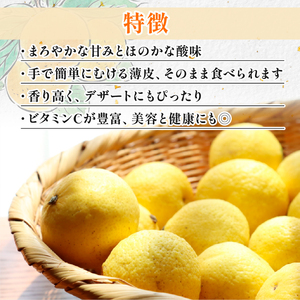 黄金柑 3kg 訳あり 黄金柑