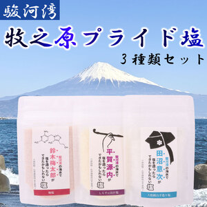 牧之原プライド 塩 3種 セット 駿河湾 海水  大粒 純白 手作り しらす 出汁 梅 田沼意次 平賀源内 鈴木梅太郎 海まで0分の宿