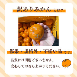 【 訳あり みかん 】 青島 みかん 約 5kg 先行予約 2025年 12月 下旬 から 発送 農家直送 ギフト minorien