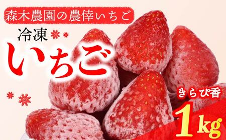 冷凍いちご いちご 1kg きらぴ香 冷凍いちご