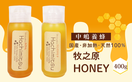 蜂蜜チューブ 400g 蜂蜜 国産 中嶋養蜂 はちみつ