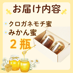 蜂蜜 200g 蜂蜜 国産 中嶋養蜂 はちみつ