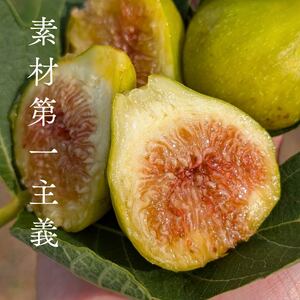 いちじく 200g × 1袋 ドライいちじく